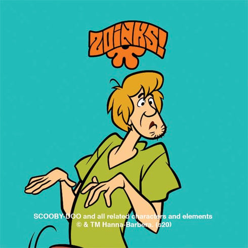 Scooby Doo Shaggy Nintendo 2DS XL (2017) Skin